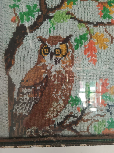 My artwork is owl