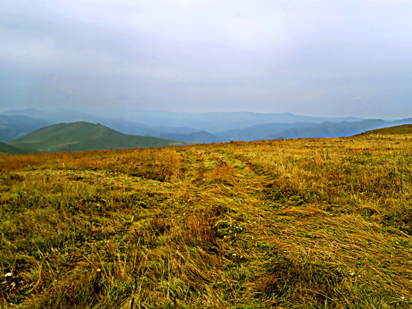 in the mountains