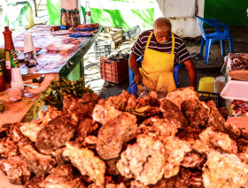 Ostiones para el ostionero